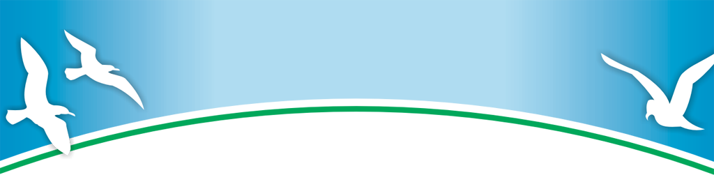 kopf2